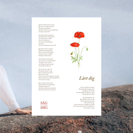 Textposters (3 st) – Val d'Isère, Lärt dig & Över